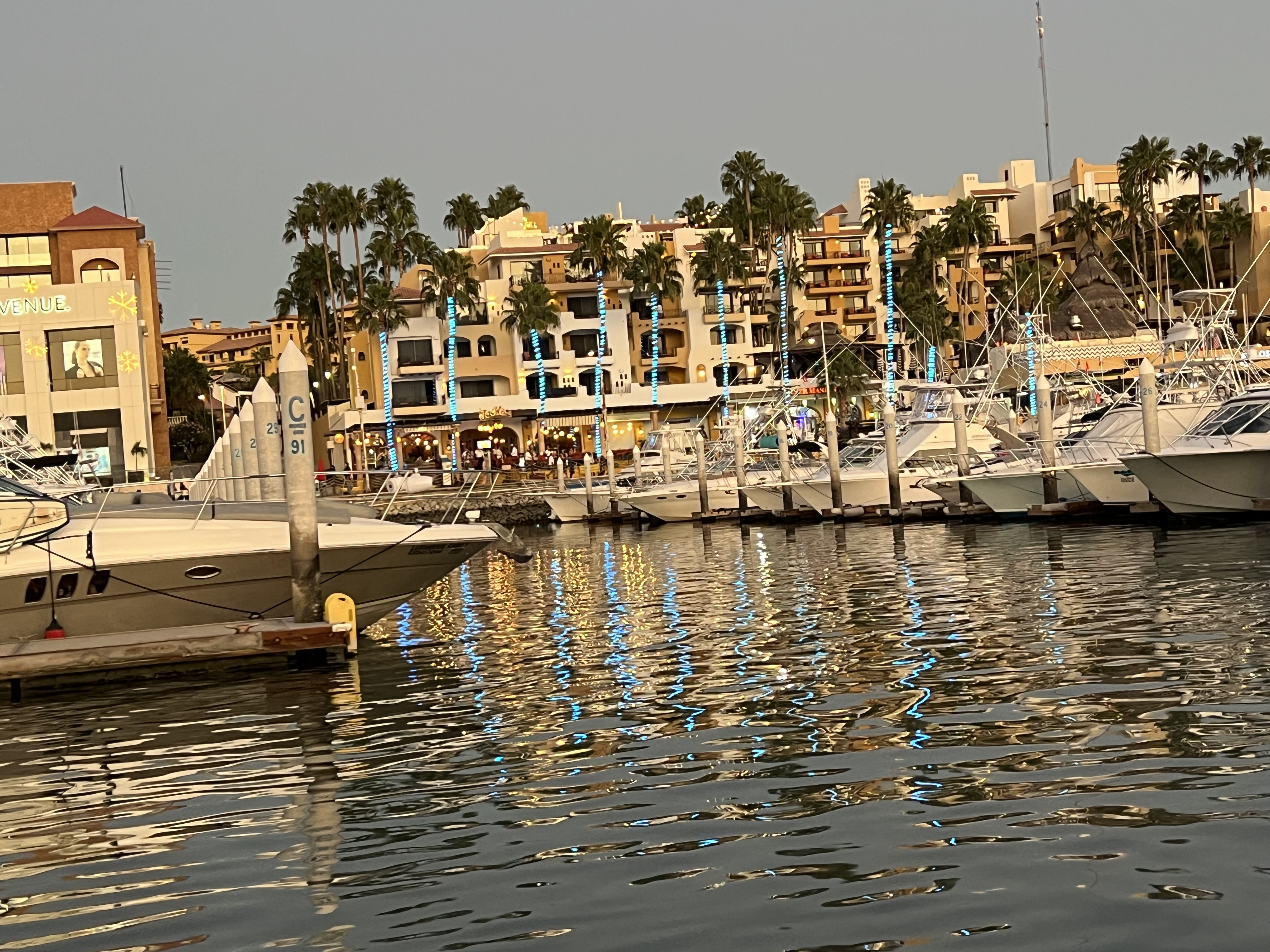 ./2024/13 - Cabo/IMG_4858.jpg